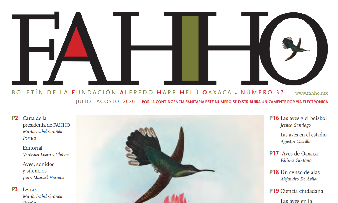 BOLETÍN DE LA FUNDACIÓN ALFREDO HARP HELÚ  NÚMERO 37