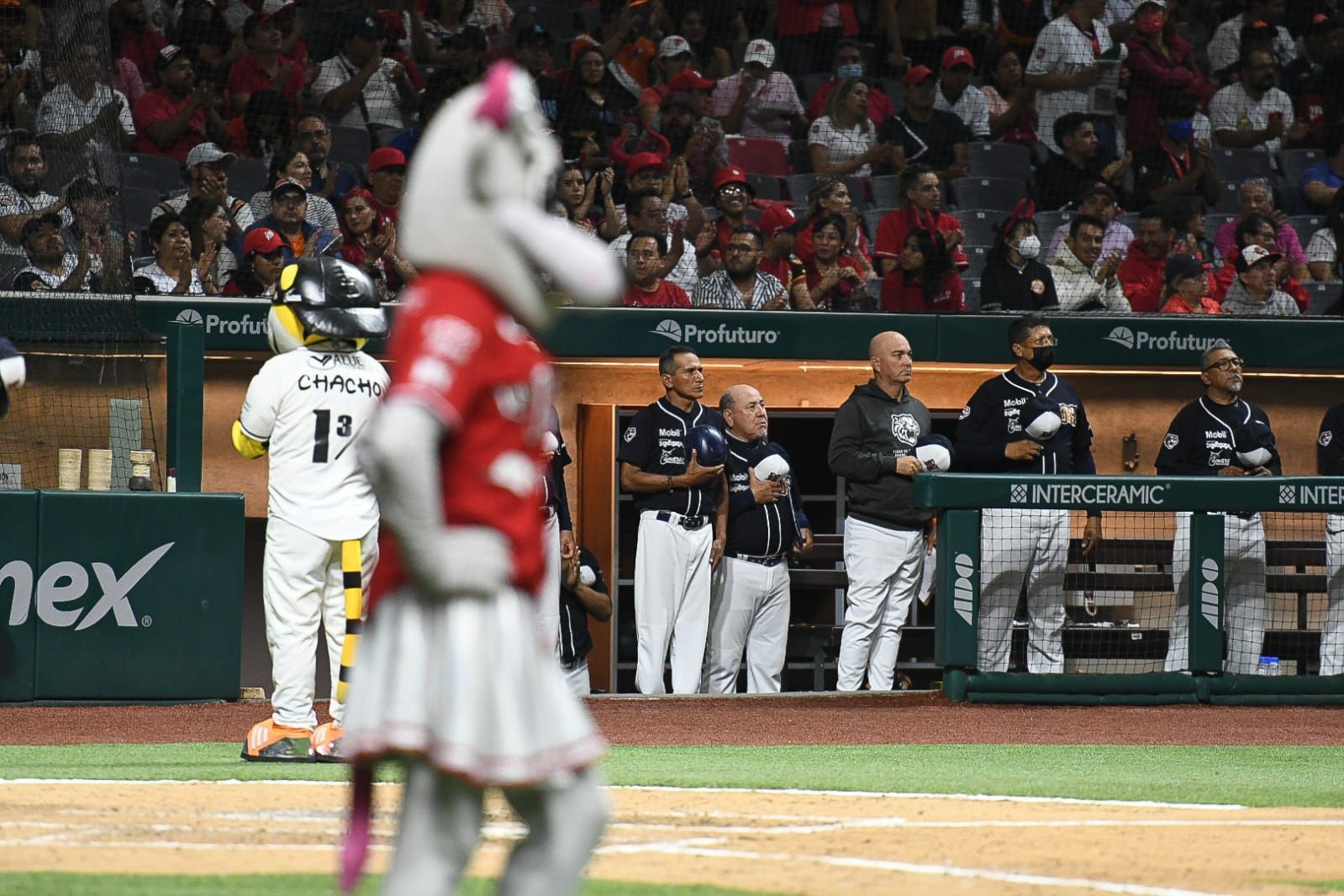 TIGRES DE QUINTANA ROO GANA EL PRIMERO DE LA SERIE