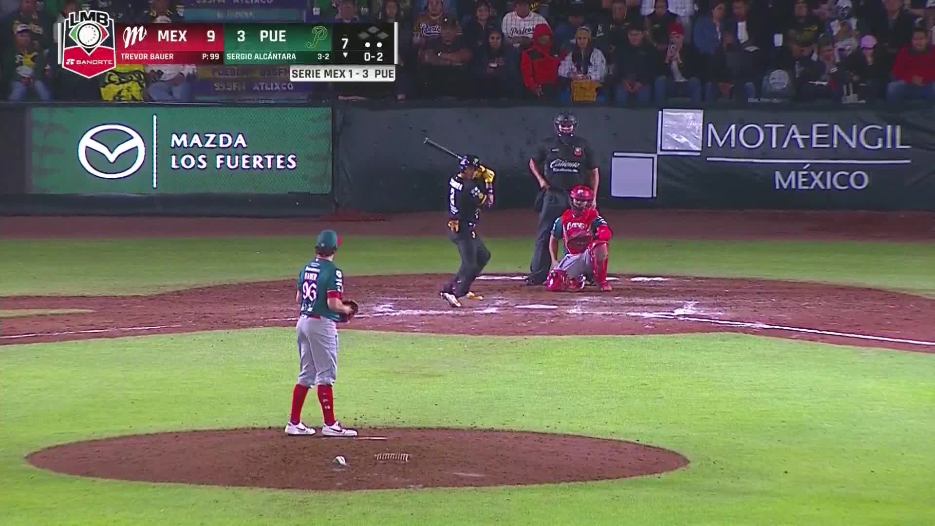Ponche Bauer Vs Pericos 